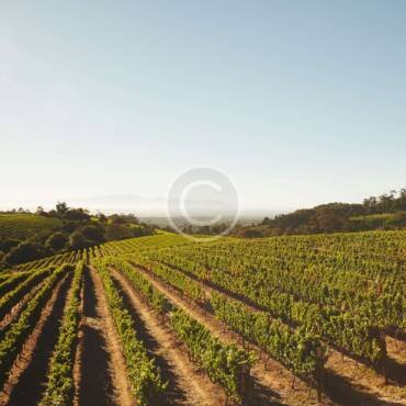 Farming in Australia